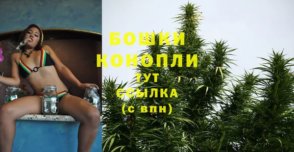метадон Вяземский