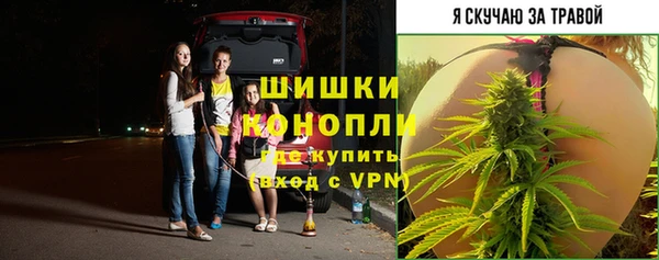 метадон Вяземский