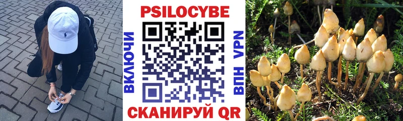 Галлюциногенные грибы Psilocybine cubensis  купить наркотик  Орехово-Зуево 